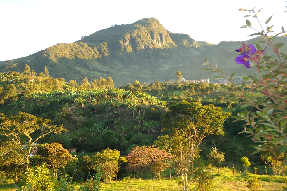 El pueblo colombiano que quiere eliminar los transgénicos de sus cultivos